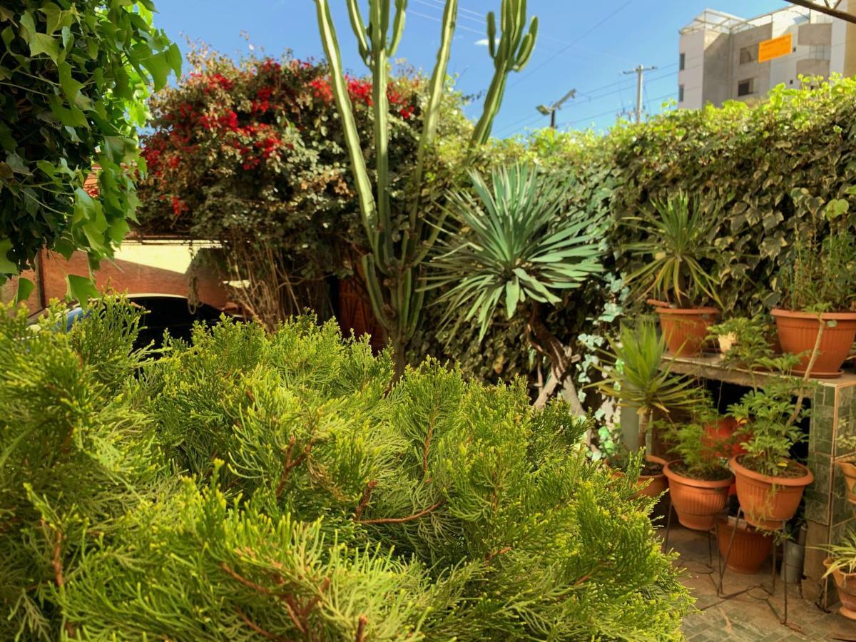The King Sun Garden Ξενοδοχείο Κούζκο Εξωτερικό φωτογραφία